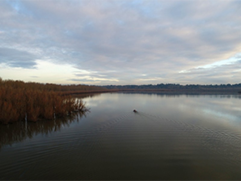 Vancouver Lake