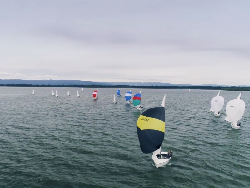 Regatta